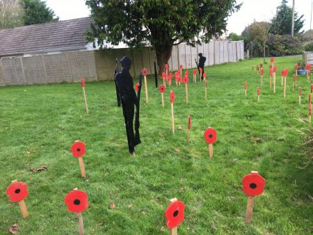 COUNCIL poppies-48