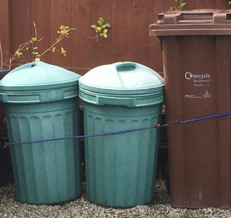 COUNCIL rubbish bins